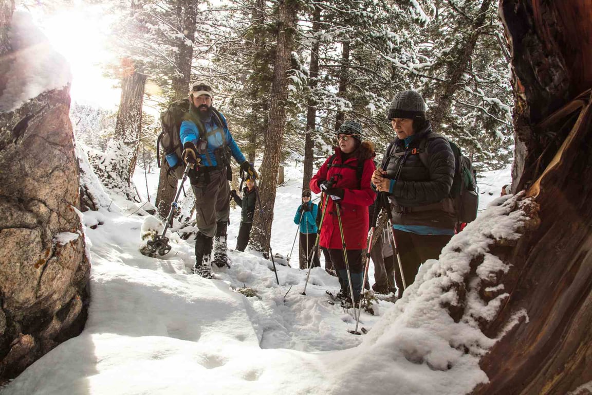 Columbia Falls Winter Snowshoe Tour Image 8