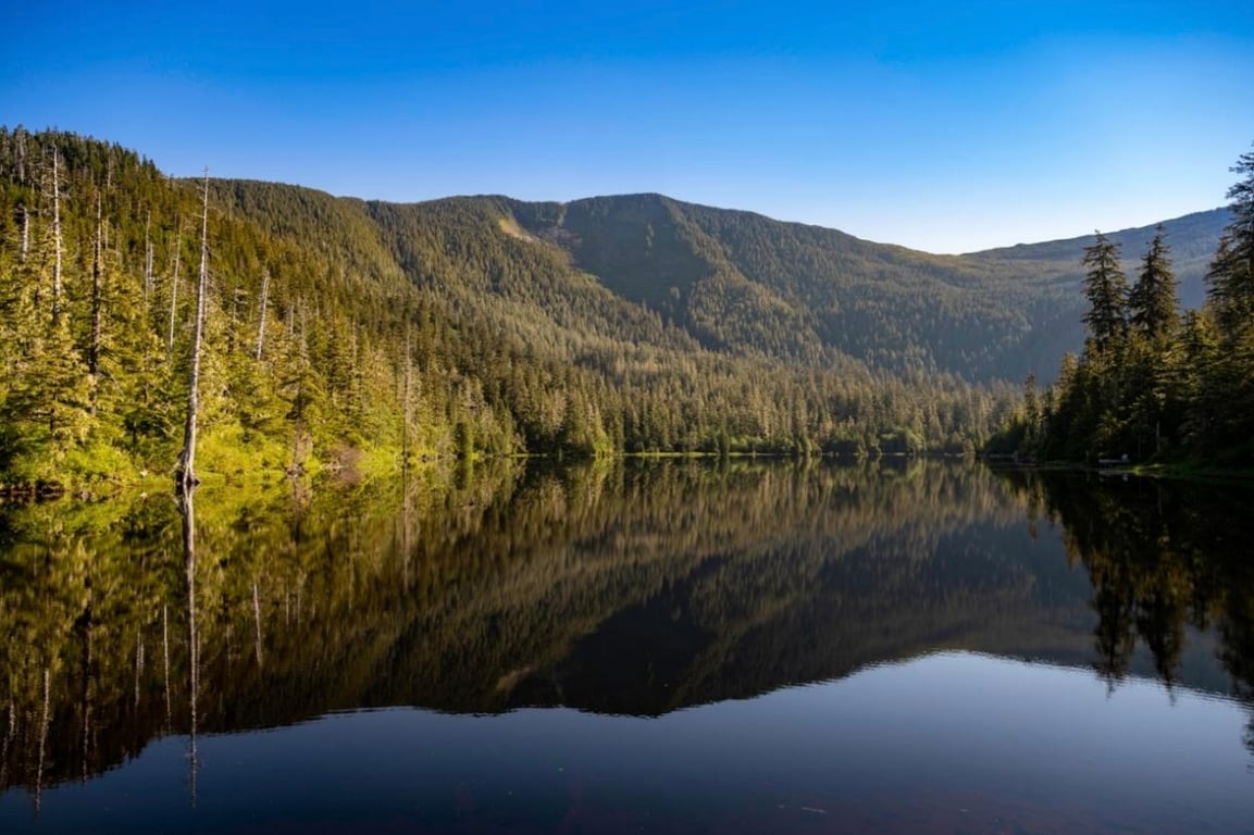 Private Ketchikan Mountain Lake Trek Tour Image 4