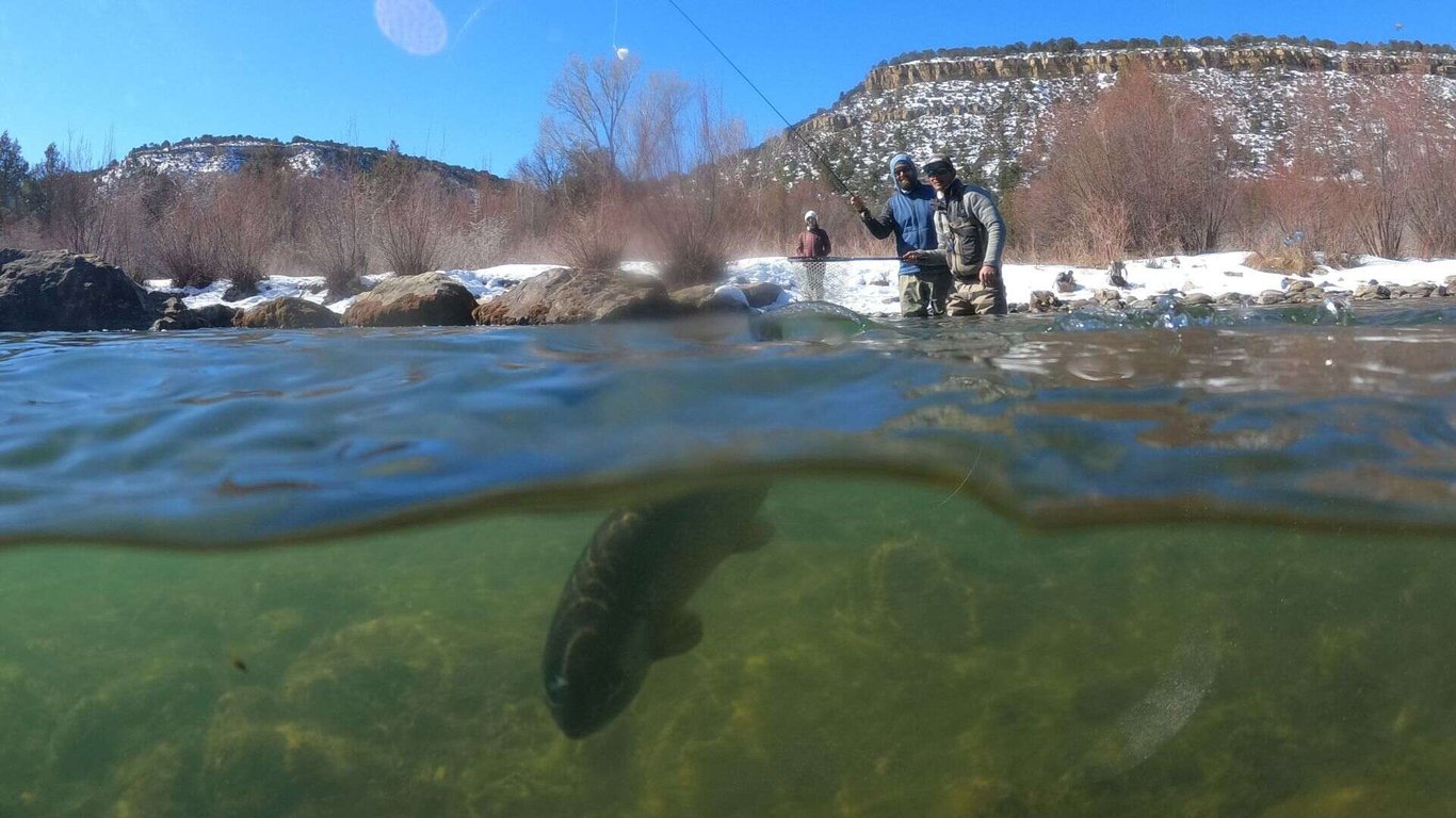 Winter Fly Fishing The Uncompahgre - Half Day Tour Image 4