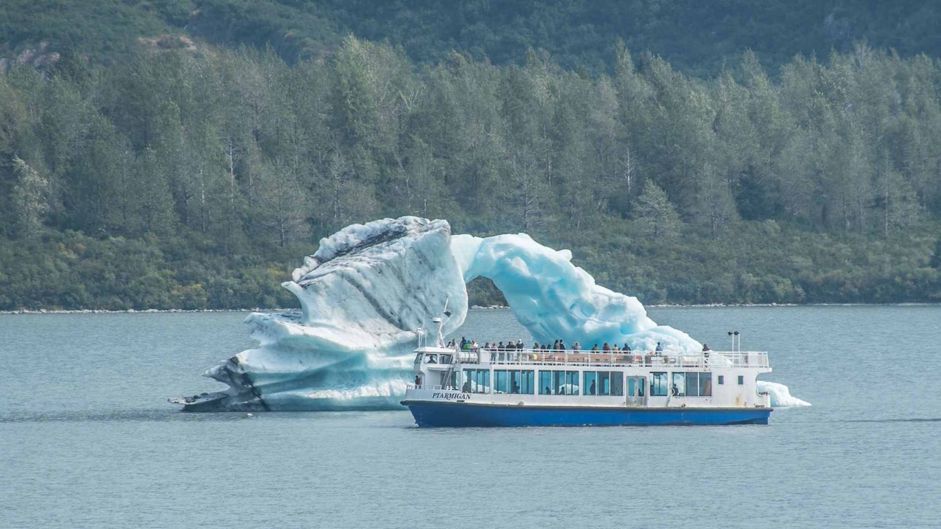 Glacier and Wildlife Day Tour image