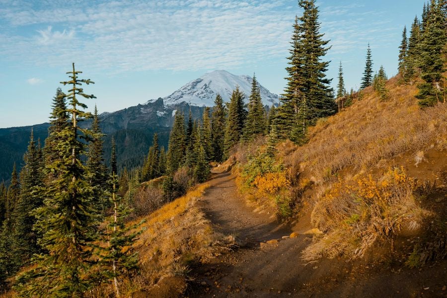 Scenic trail with mountain views in Yellowstone.