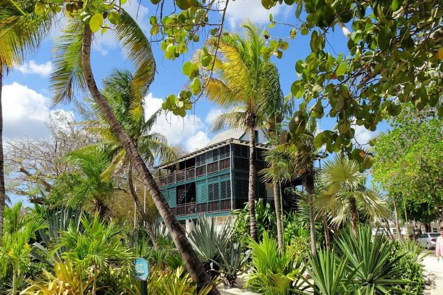 11 Unique Things to Do in Grand Cayman