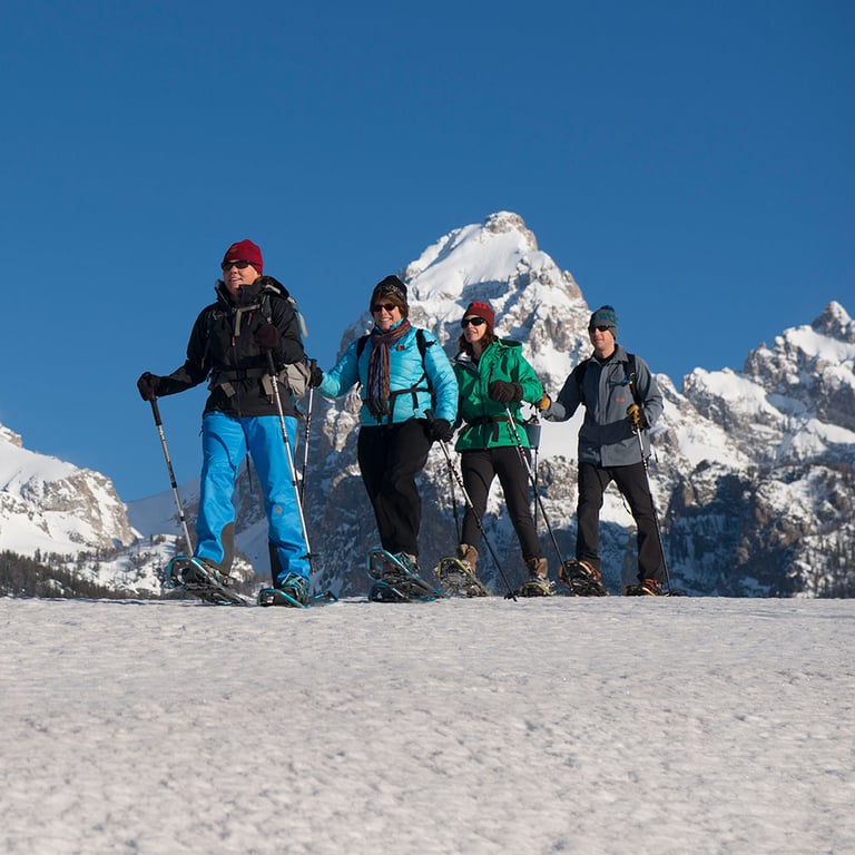 Snowshoe Sampler Tour Image 2