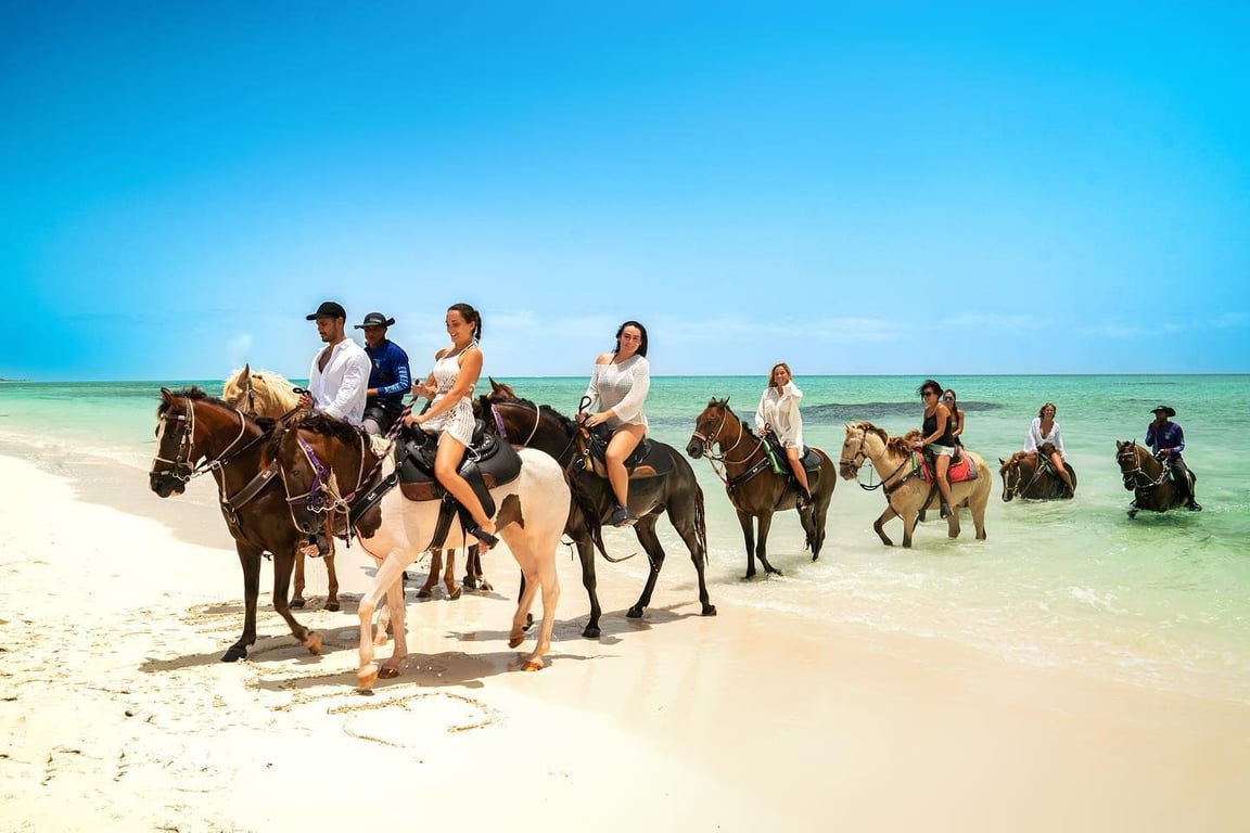 Horseback Ride N Swim Tour image