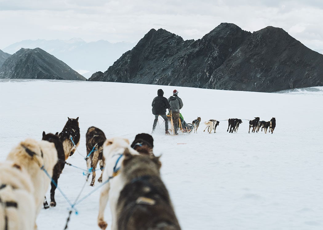 Anchorage Helicopter Glacier Dogsled & Lower Glacier Landing With Transportation image