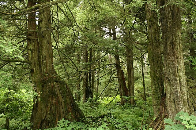 Sitka Hiking Guide: Discover Sitka's Natural Wonders