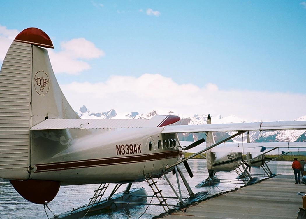 5 Glacier Seaplane Exploration Tour Image 9
