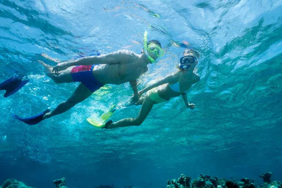 A couple explores crystal-clear waters, snorkeling together above vibrant coral reefs and tropical marine life.