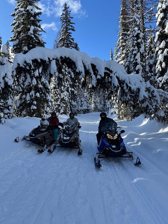 Birthday snowmobiling adventure! review image 2