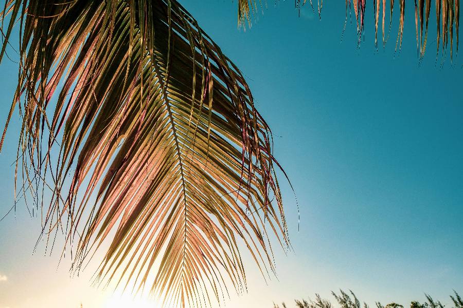 Our Favorite Things to Do & See In South Caicos