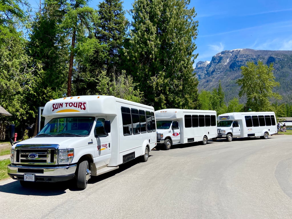 Half-Day Going-to-the-Sun Road & Logan Pass Tour Tour Image 6