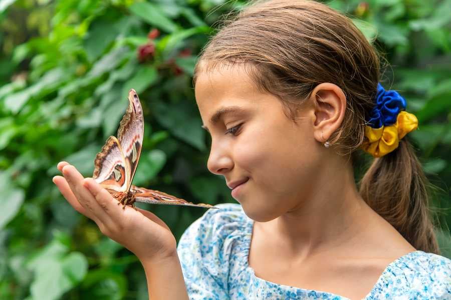 A child gently holding a colorful butterfly in a lush garden setting.