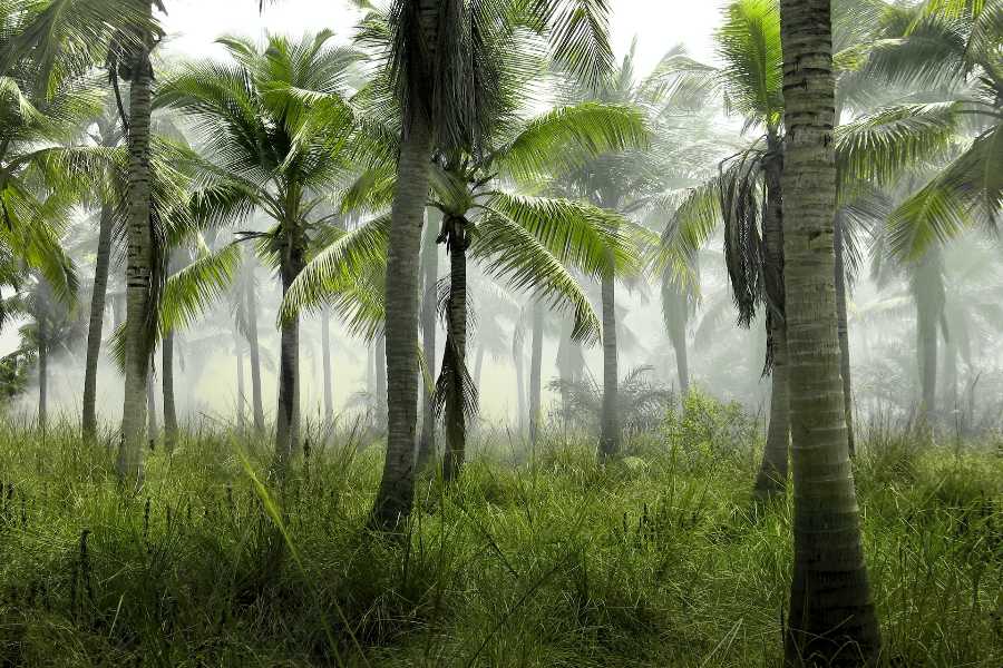 Understanding Cayman Islands Weather