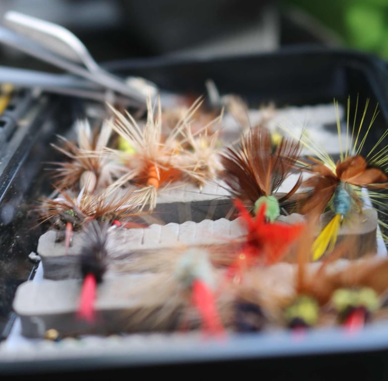 Flathead River Fly Fishing Trip - Half-Day Tour Image 10