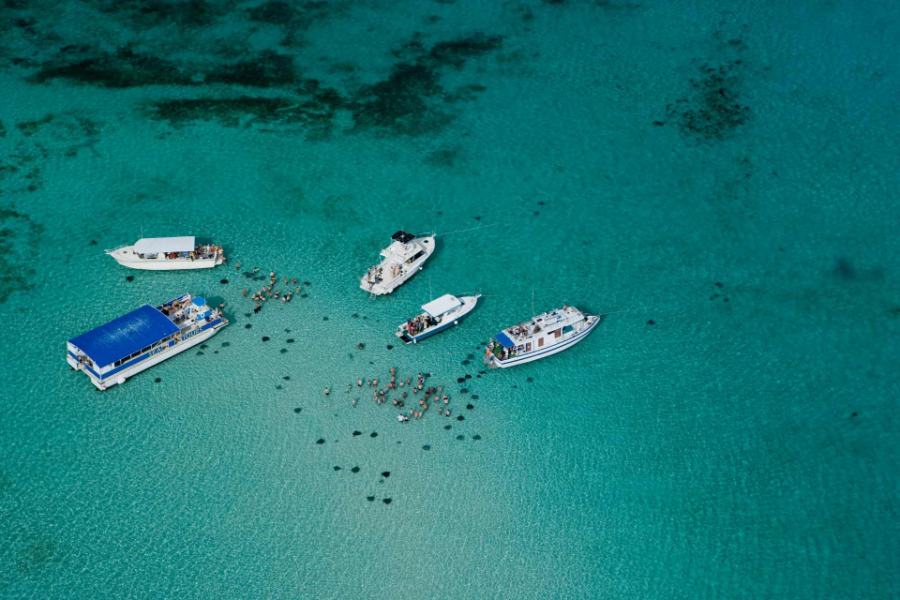 Top 7 Stingray City Tours In Grand Cayman (Most Visited Attractions)