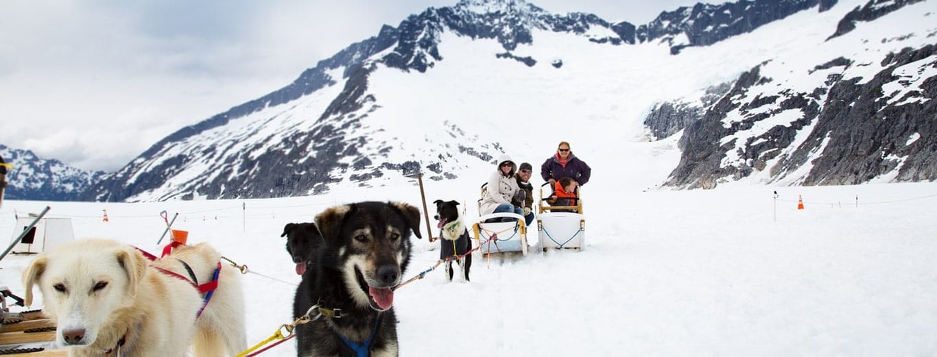 Helicopter & Dogsled Glacier Excursion Tour Image 1