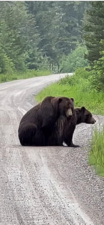 Land-Based Wildlife Tour Tour Image 7
