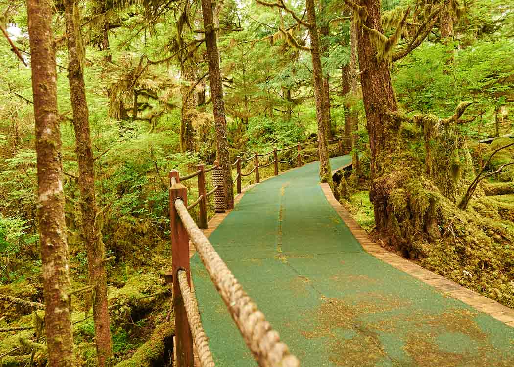 Alaska Lodge Adventure & Seafeast Tour Image 3