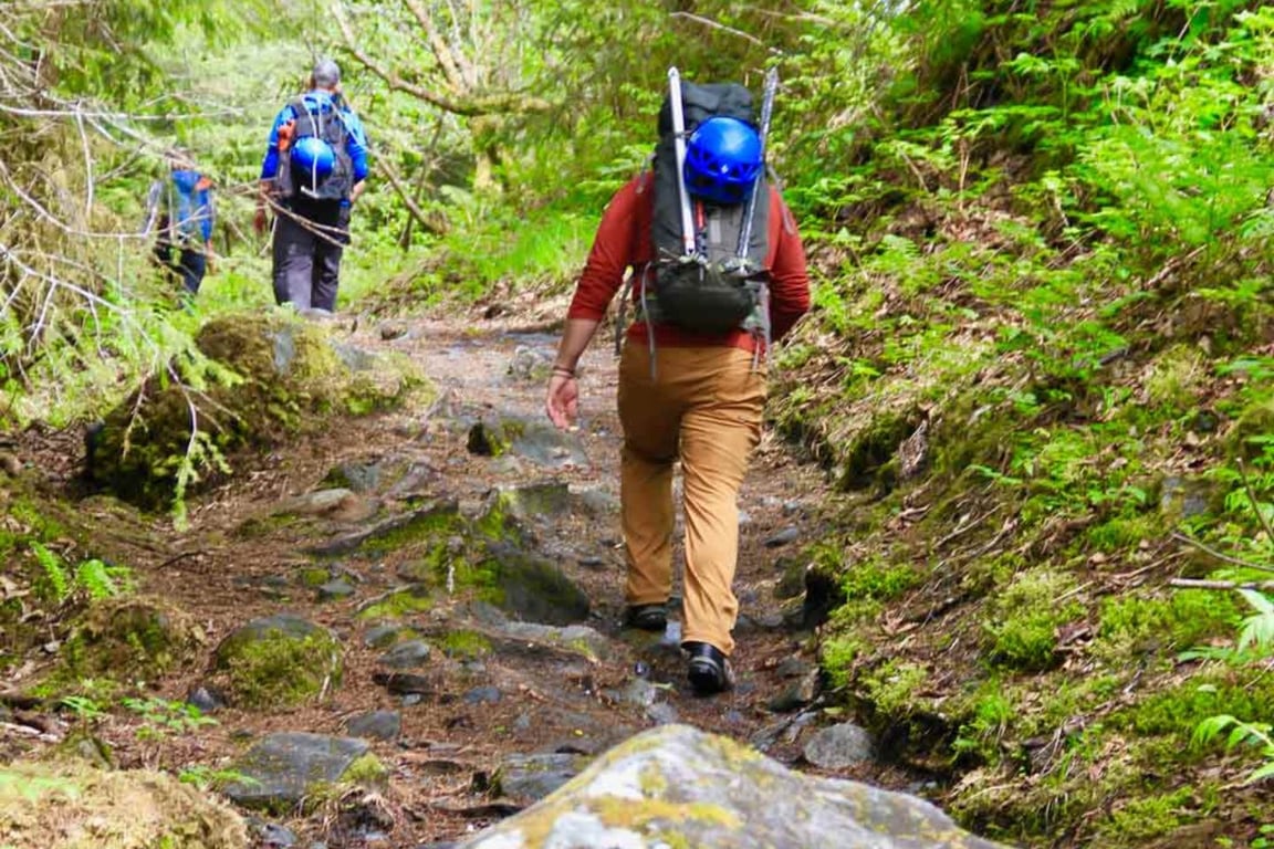 Mendenhall Glacier Hike Tour Image 5