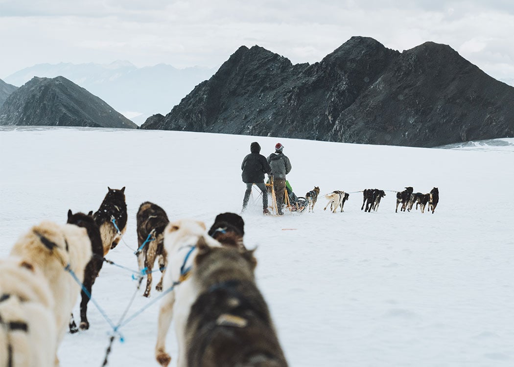 Anchorage Helicopter and Glacier Dogsled Tour With Transportation Tour Image 6