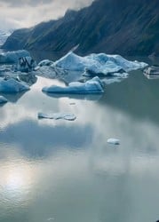 Seward Bear Glacier Tour Tour Image 4