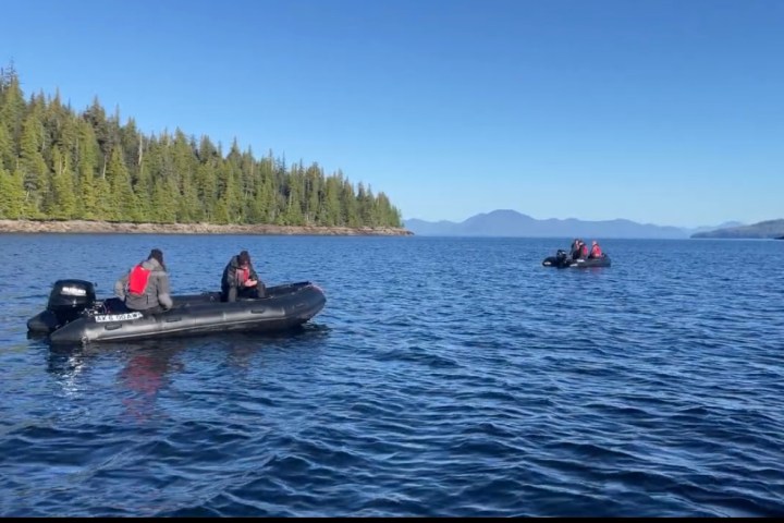 Marine Fast Boat Adventure Tour Image 1