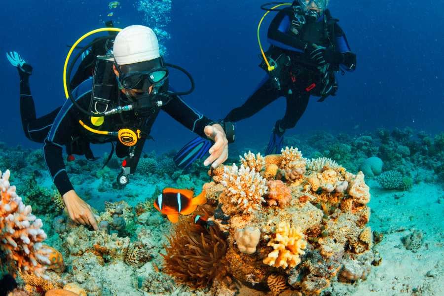 Two scuba divers marvel at vibrant coral reefs and colorful marine life in crystal-clear ocean waters.