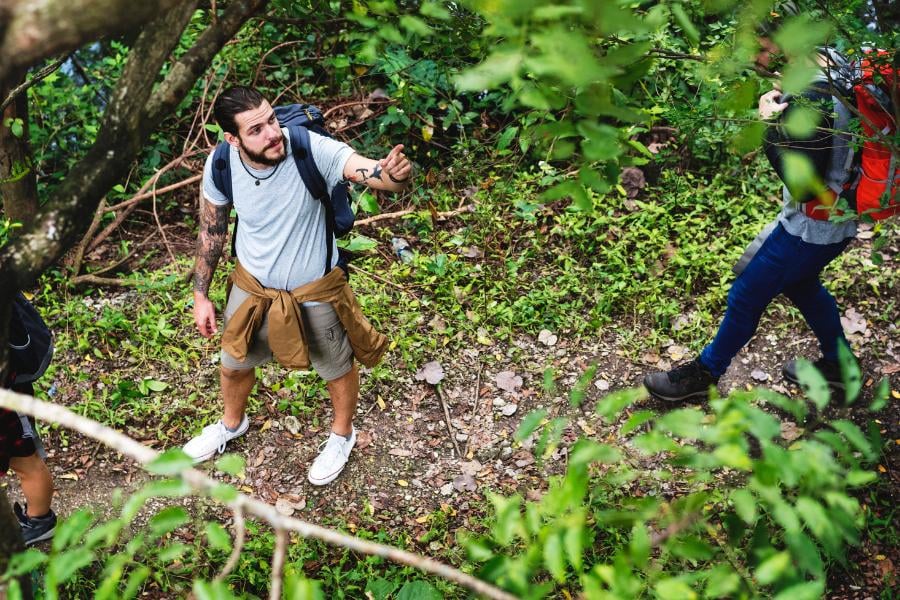 Hikers explore a lush green forest trail, enjoying nature and spotting unique flora along the way.