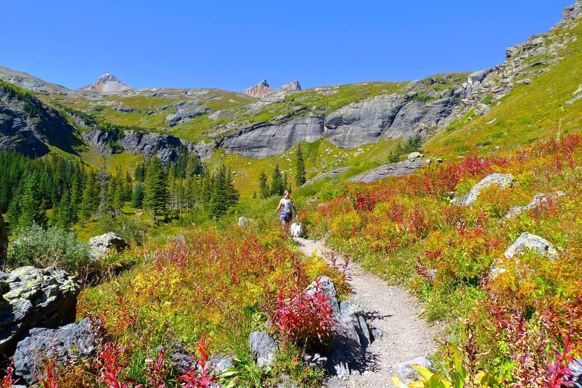 Telluride Hiking Tour - Half Day Tour Image 6