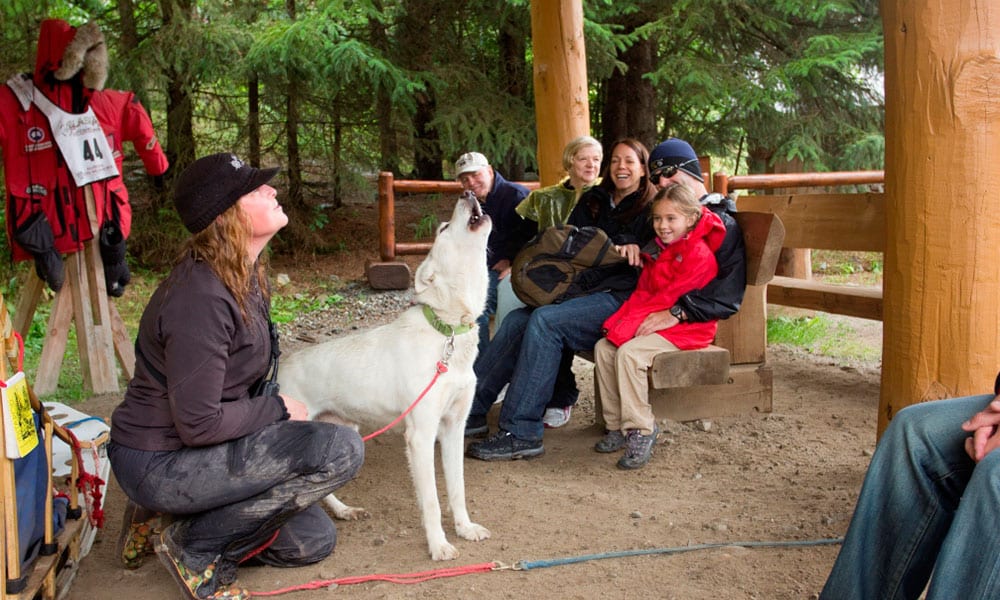 Skagway Sled Dog and Musher's Camp Tour Image 8