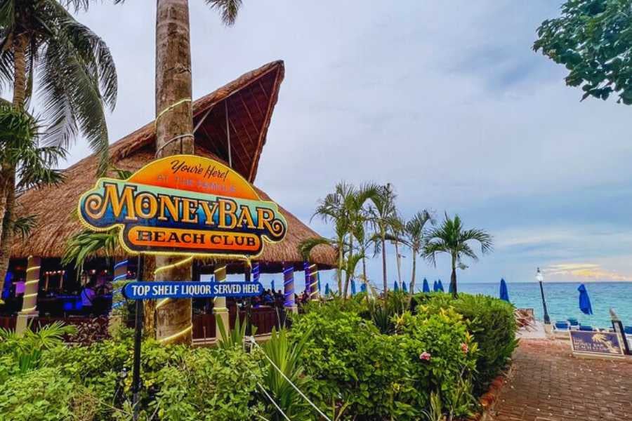 Lush greenery surrounds a thatched-roof beach club, with bright signage welcoming guests to paradise.