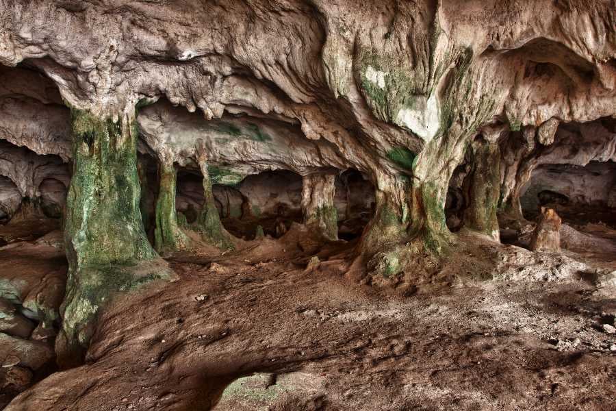 Conch Bar Caves