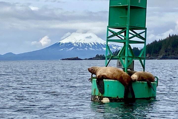 Siginaka Islands Cruise & Kayak Adventure Tour Image 1