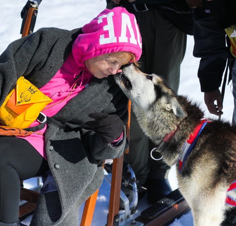 Glacier Dog Sled Adventure Tour Image 10