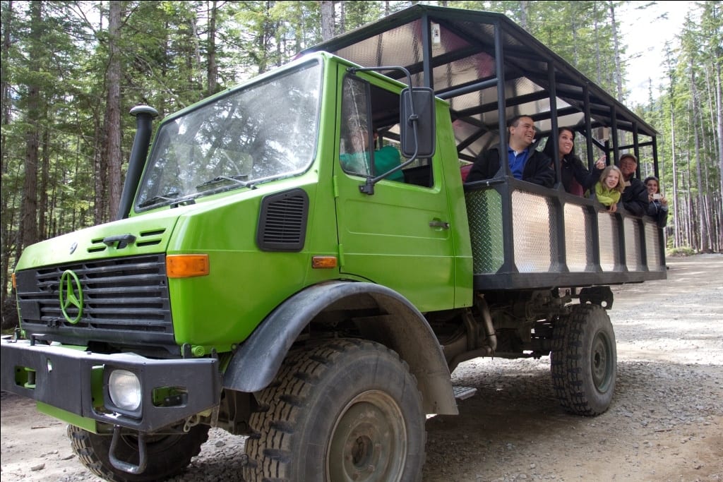 Skagway Sled Dog and Musher's Camp Tour Image 26