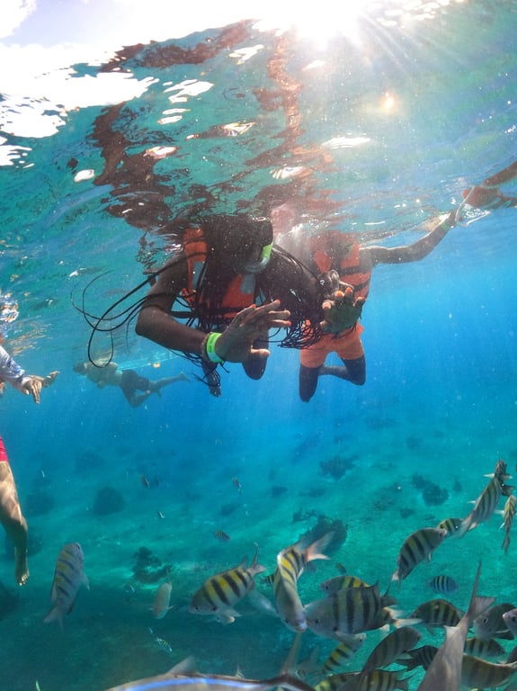 HIGHLIGHT OF OUR TRIP!! PLEASE BOOK review image 1
