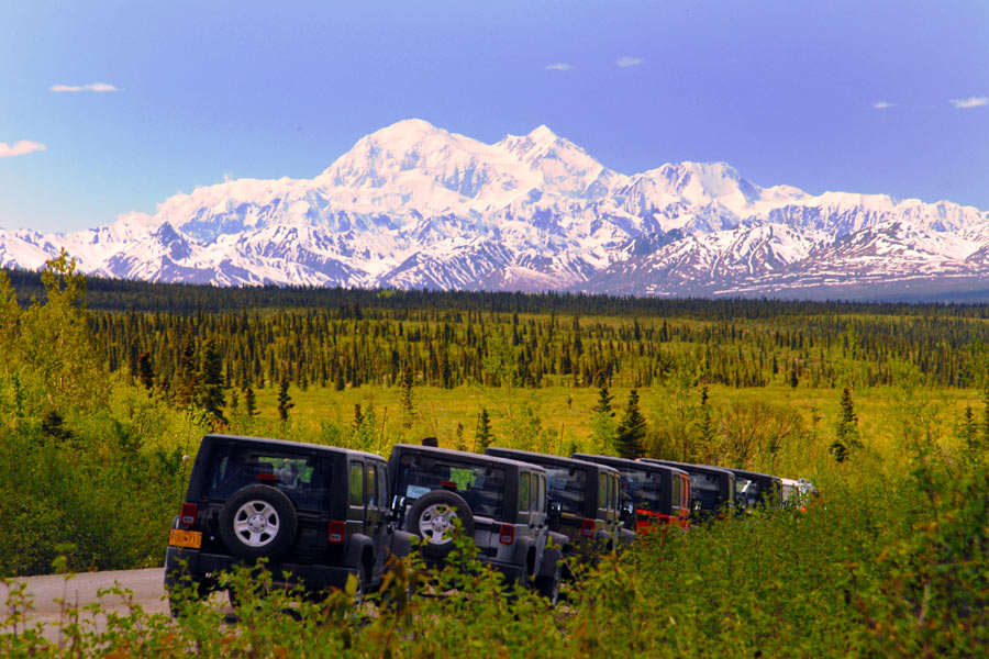 Adventure Denali: The Most Exciting Denali Tours image