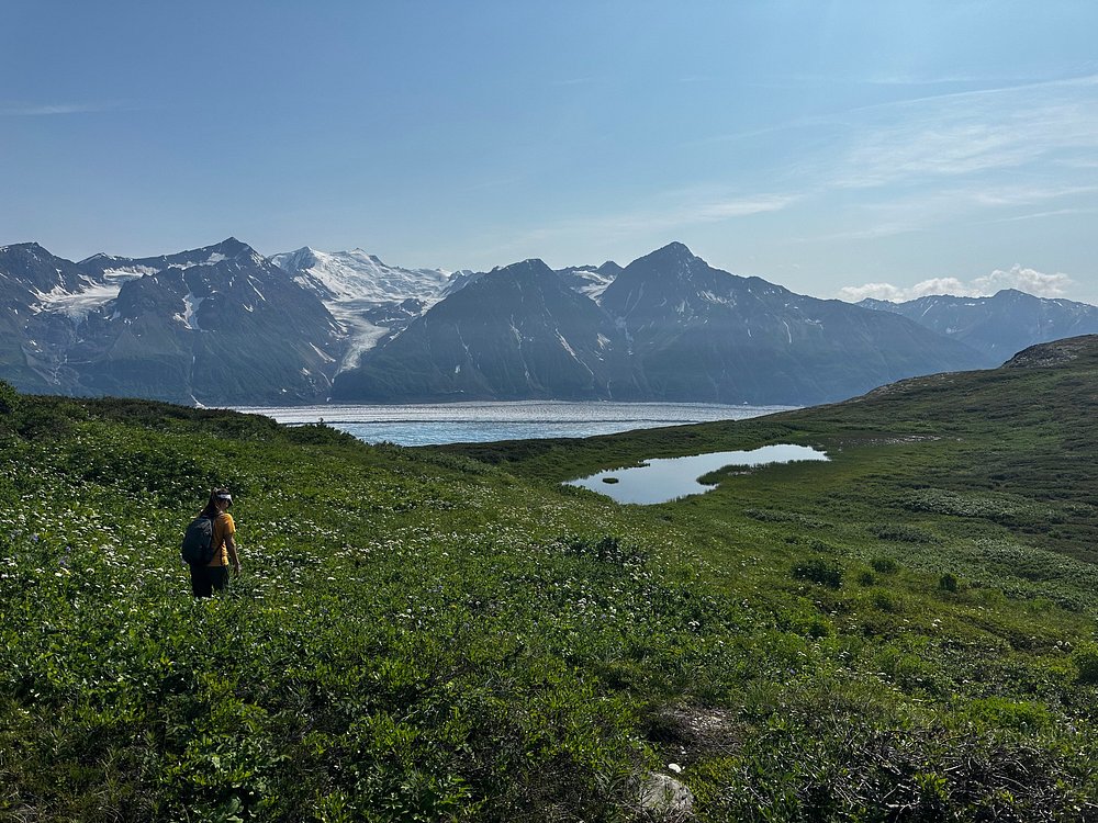 Anchorage Heli-Hiking Excursion Tour Image 3