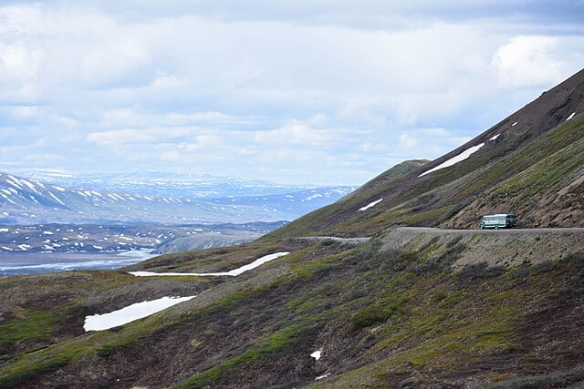 Unveiling the Wonders of Denali Park Road: A Local Expert’s Guide