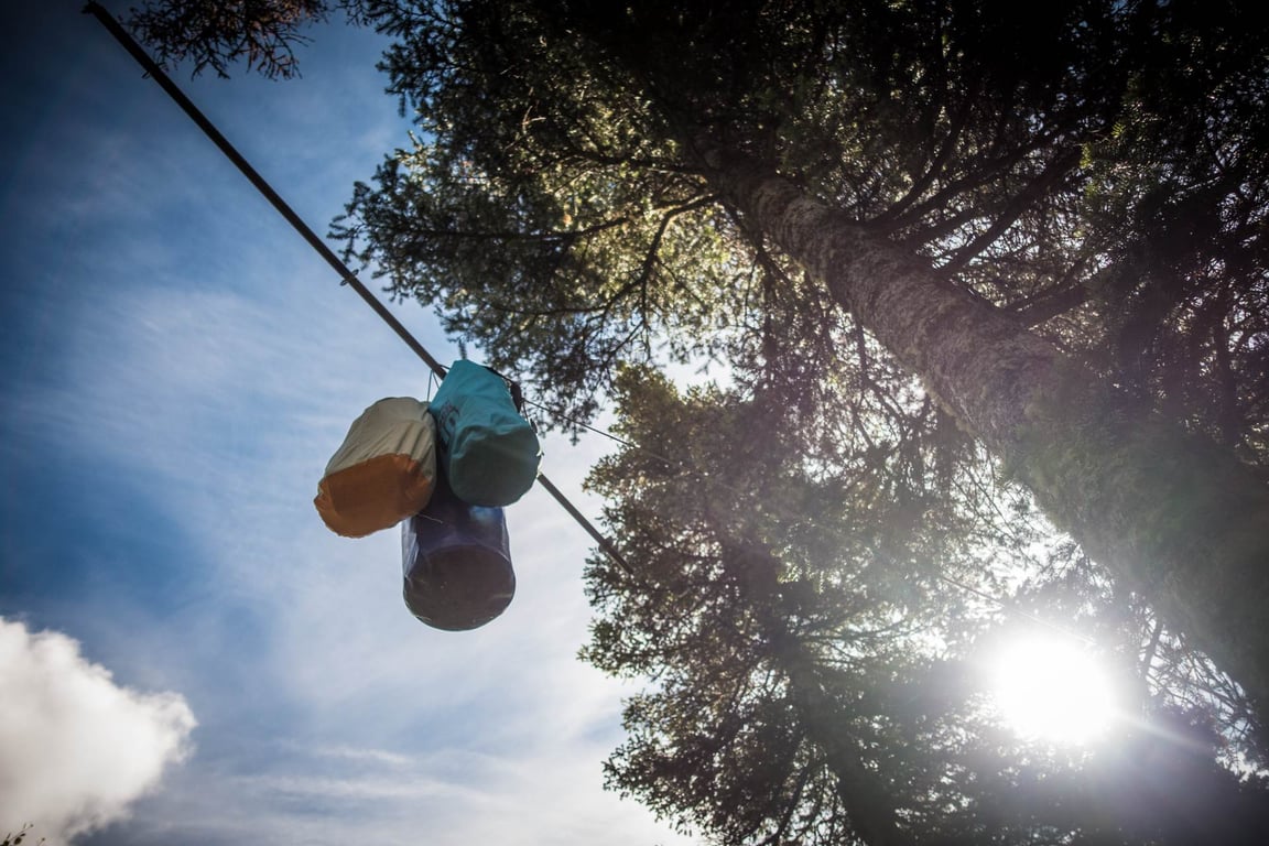 3 food satchels suspended between 2 trees