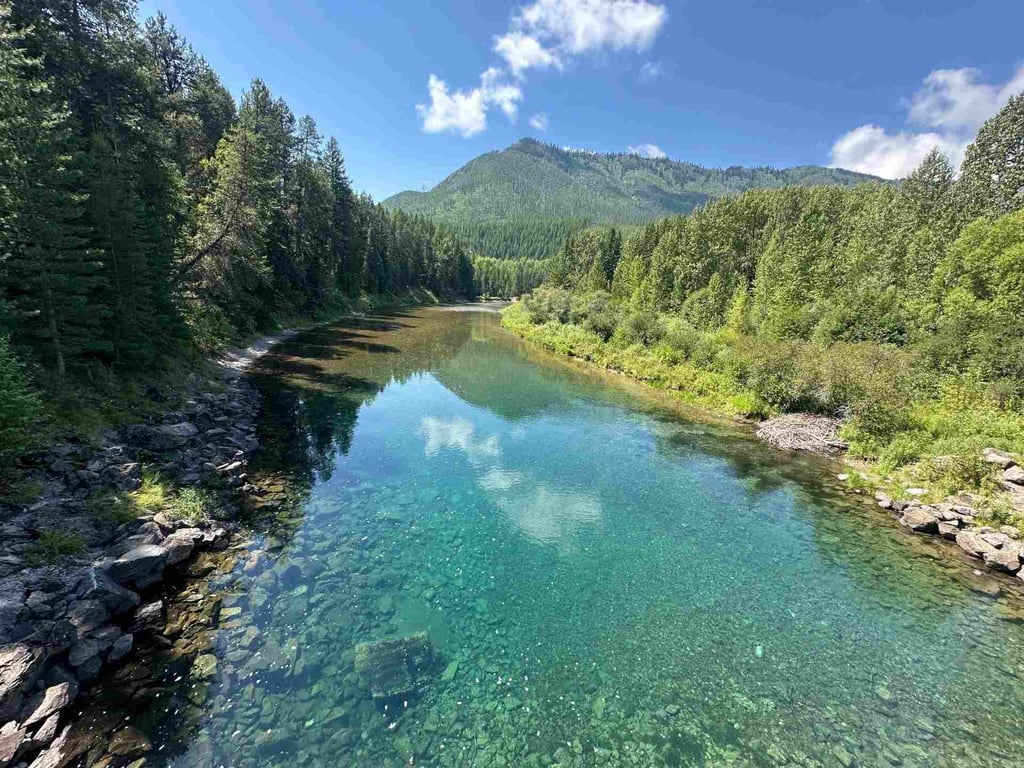 Half-Day Glacier Park E-bike Adventure Tour Image 6
