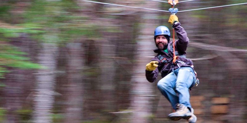 The 10 Best Alaska Shore Excursions