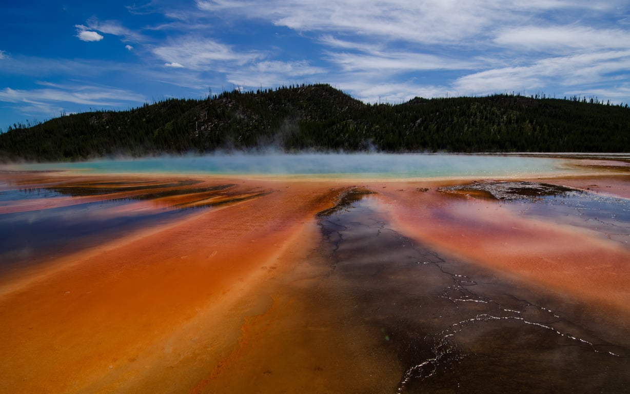 Private Hiking & Hot Springs From West Yellowstone Tour Image 4