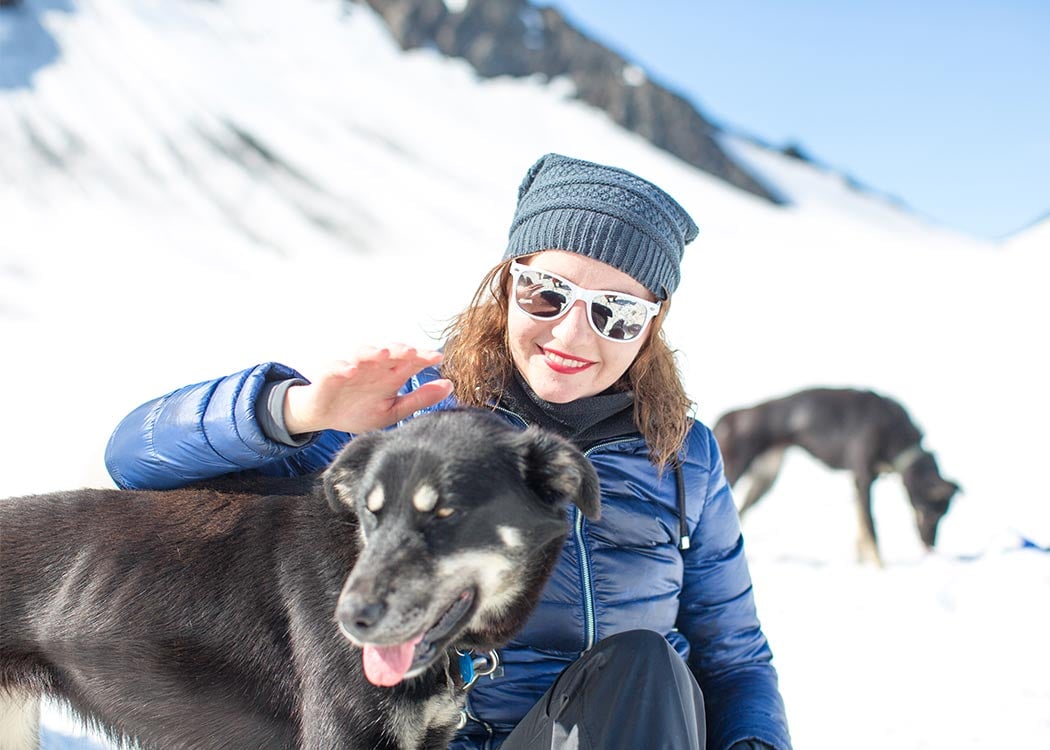 Anchorage Helicopter and Glacier Dogsled Tour With Transportation Tour Image 3