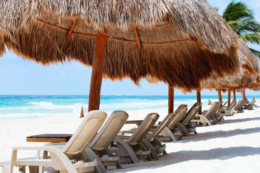 Beach chairs under straw umbrellas facing the ocean—a perfect paradise escape.