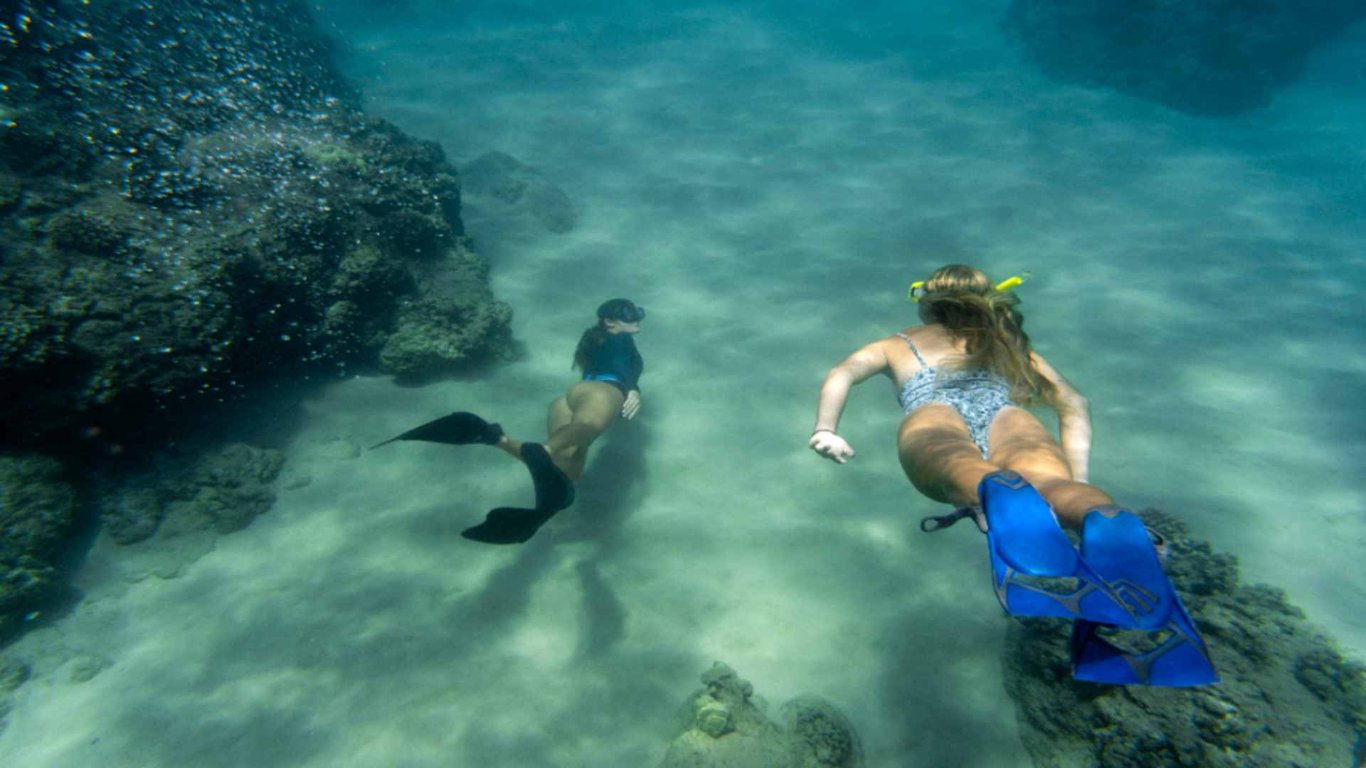 Best Caribbean Snorkeling Shore Excursions image