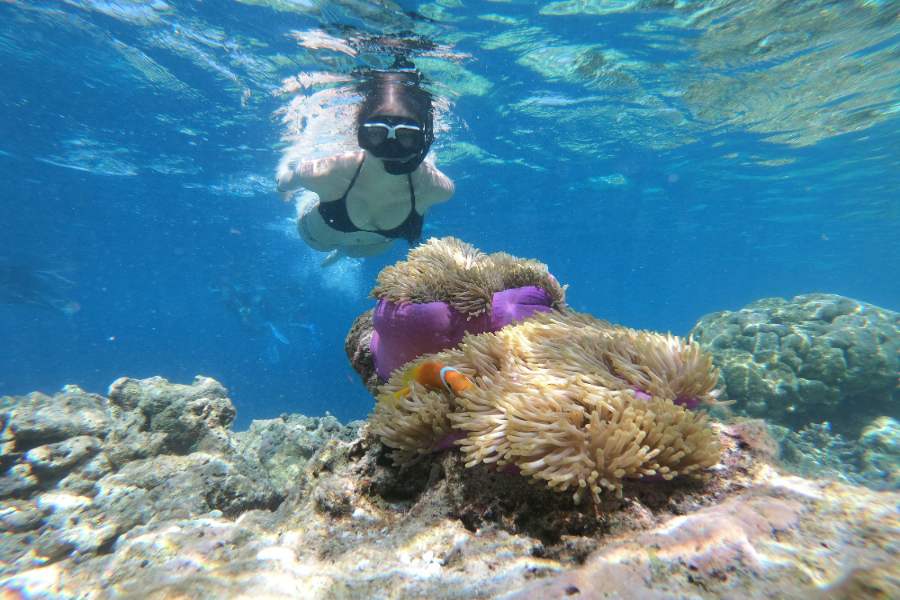 A diver observes sea creatures in deep water