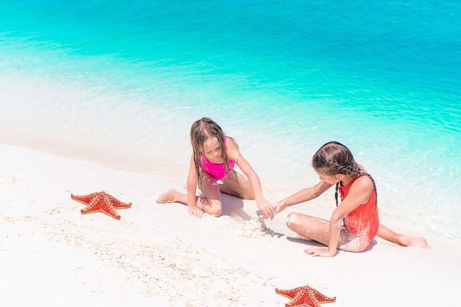 Two children playing with starfish on the beach