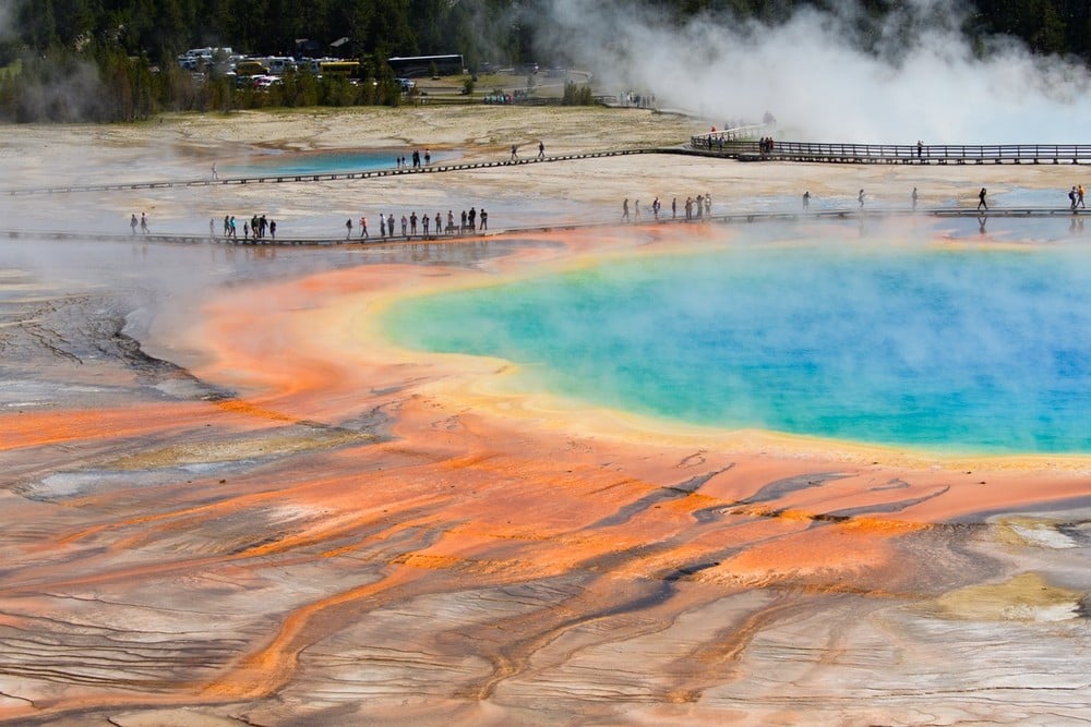 Geyser in Yellowstone image