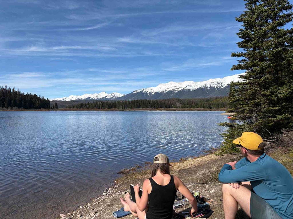 Swan Valley Wildlife & Sightseeing Tour image